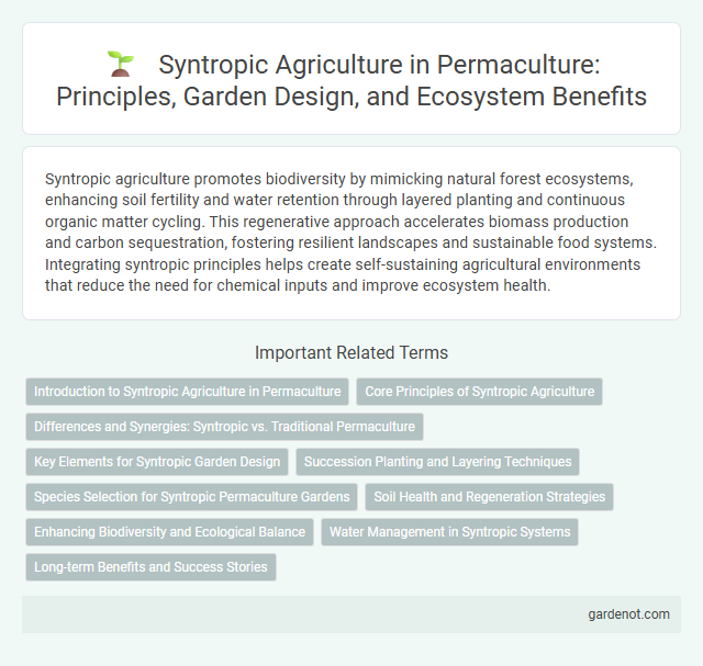 Syntropic Agriculture in Permaculture: Principles, Garden Design, and Ecosystem Benefits