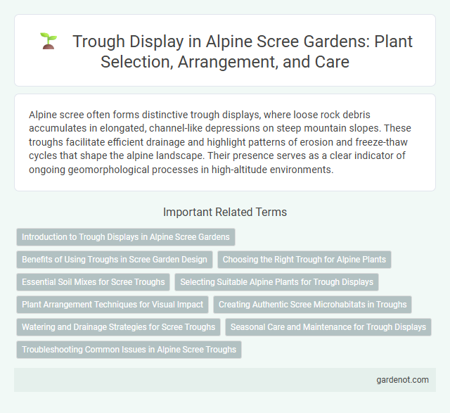 Trough Display in Alpine Scree Gardens: Plant Selection, Arrangement, and Care