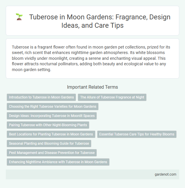 Tuberose in Moon Gardens: Fragrance, Design Ideas, and Care Tips