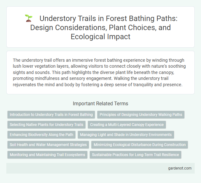 Understory Trails in Forest Bathing Paths: Design Considerations, Plant Choices, and Ecological Impact