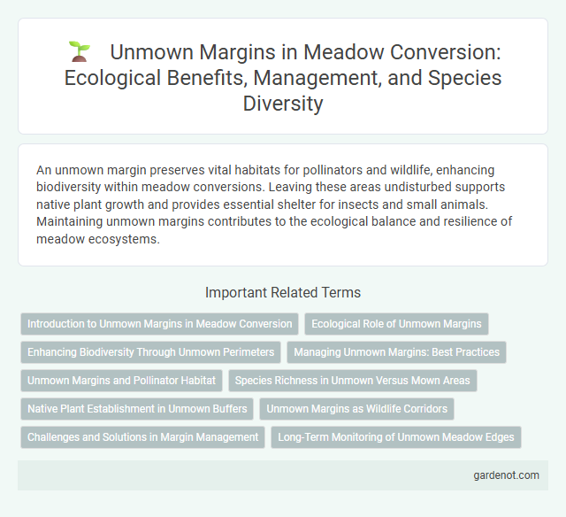 Unmown Margins in Meadow Conversion: Ecological Benefits, Management, and Species Diversity
