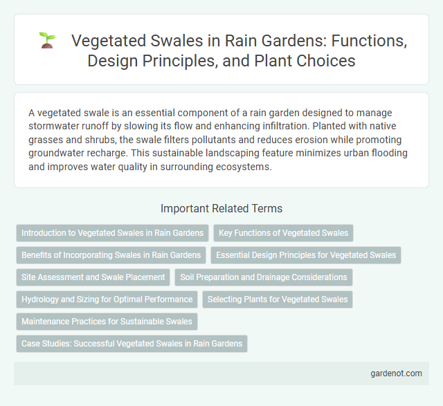Vegetated Swales in Rain Gardens: Functions, Design Principles, and Plant Choices