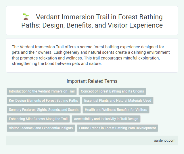 Verdant Immersion Trail in Forest Bathing Paths: Design, Benefits, and Visitor Experience