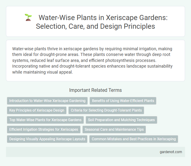 Water-Wise Plants in Xeriscape Gardens: Selection, Care, and Design Principles