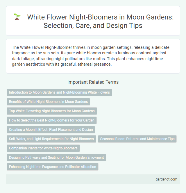 White Flower Night-Bloomers in Moon Gardens: Selection, Care, and Design Tips