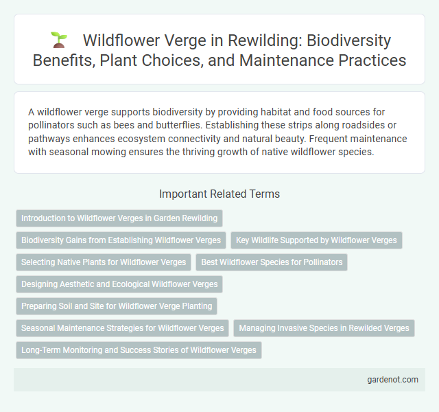 Wildflower Verge in Rewilding: Biodiversity Benefits, Plant Choices, and Maintenance Practices