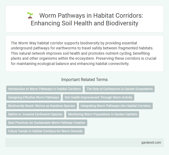 Worm Pathways in Habitat Corridors: Enhancing Soil Health and Biodiversity