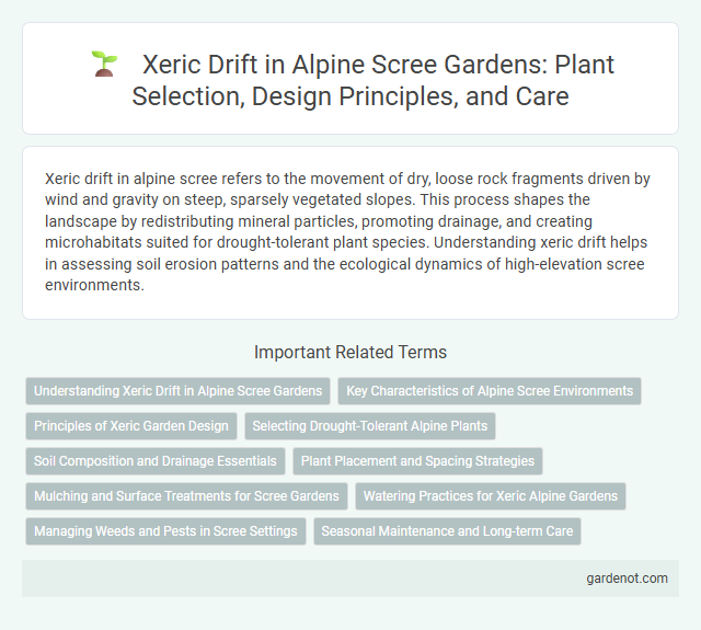 Xeric Drift in Alpine Scree Gardens: Plant Selection, Design Principles, and Care