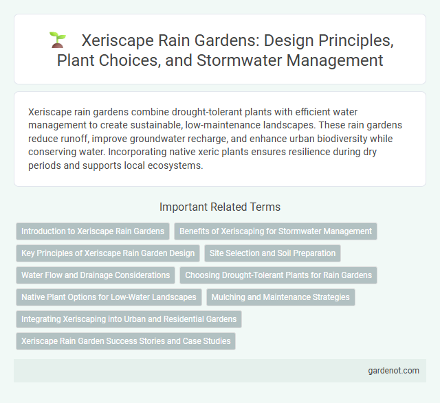 Xeriscape Rain Gardens: Design Principles, Plant Choices, and Stormwater Management