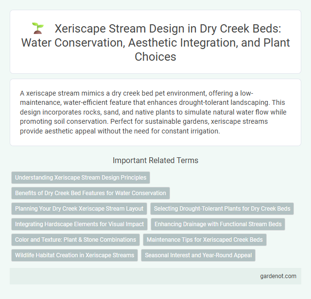 Xeriscape Stream Design in Dry Creek Beds: Water Conservation, Aesthetic Integration, and Plant Choices