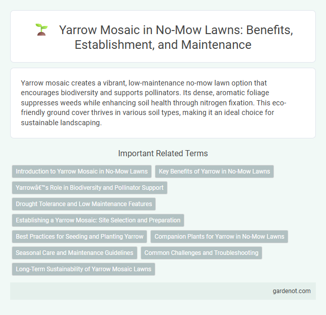 Yarrow Mosaic in No-Mow Lawns: Benefits, Establishment, and Maintenance