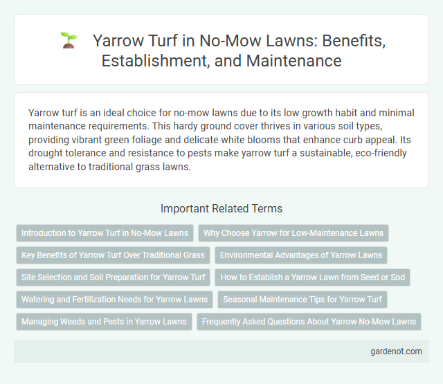 Yarrow Turf in No-Mow Lawns: Benefits, Establishment, and Maintenance