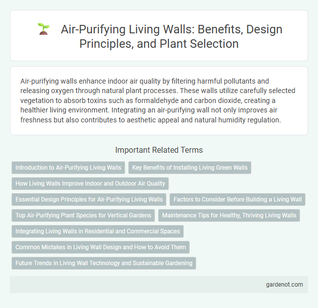 Air-Purifying Living Walls: Benefits, Design Principles, and Plant Selection