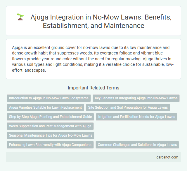 Ajuga Integration in No-Mow Lawns: Benefits, Establishment, and Maintenance