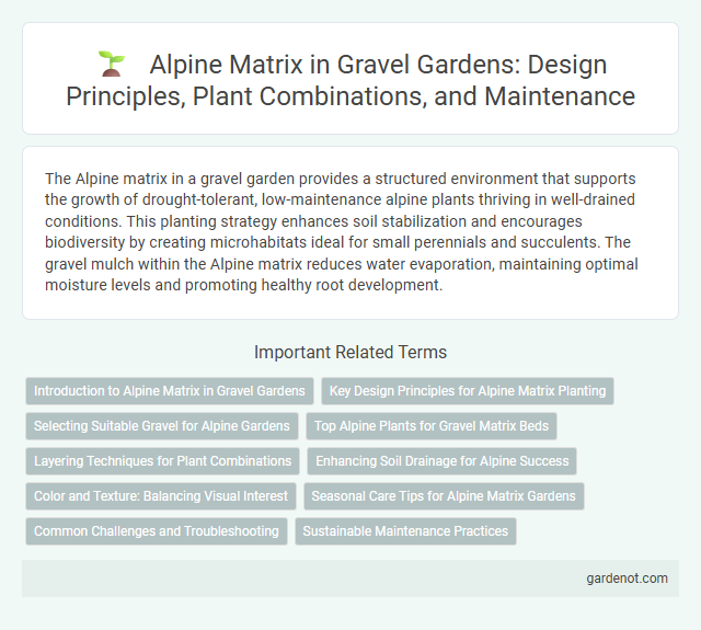 Alpine Matrix in Gravel Gardens: Design Principles, Plant Combinations, and Maintenance