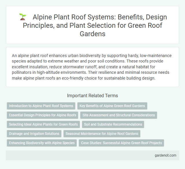 Alpine Plant Roof Systems: Benefits, Design Principles, and Plant Selection for Green Roof Gardens