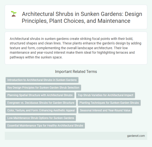 Architectural Shrubs in Sunken Gardens: Design Principles, Plant Choices, and Maintenance