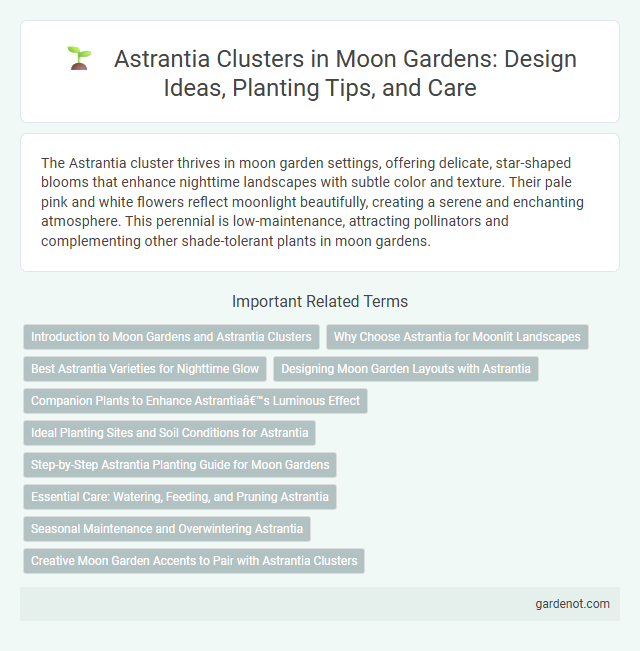 Astrantia Clusters in Moon Gardens: Design Ideas, Planting Tips, and Care