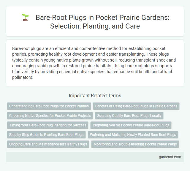 Bare-Root Plugs in Pocket Prairie Gardens: Selection, Planting, and Care