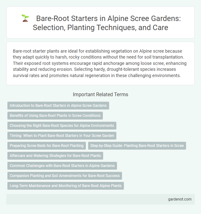 Bare-Root Starters in Alpine Scree Gardens: Selection, Planting Techniques, and Care