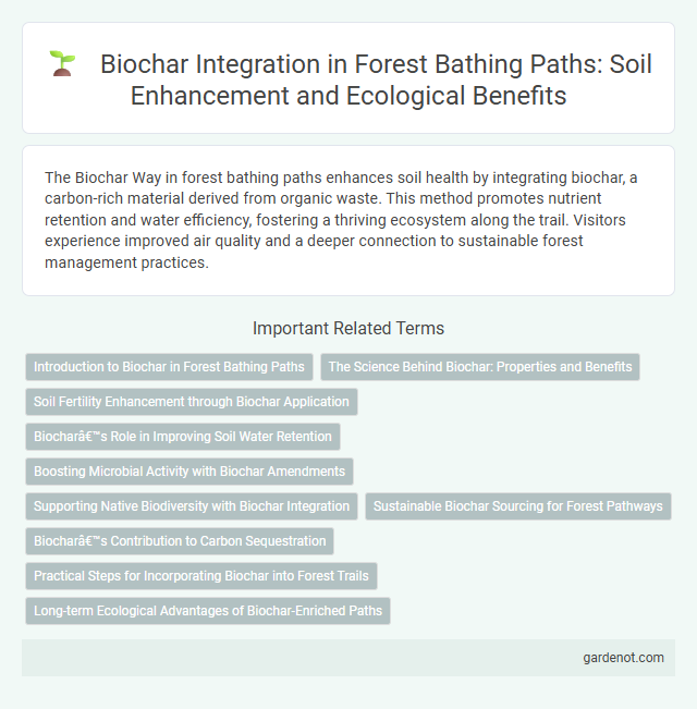 Biochar Integration in Forest Bathing Paths: Soil Enhancement and Ecological Benefits