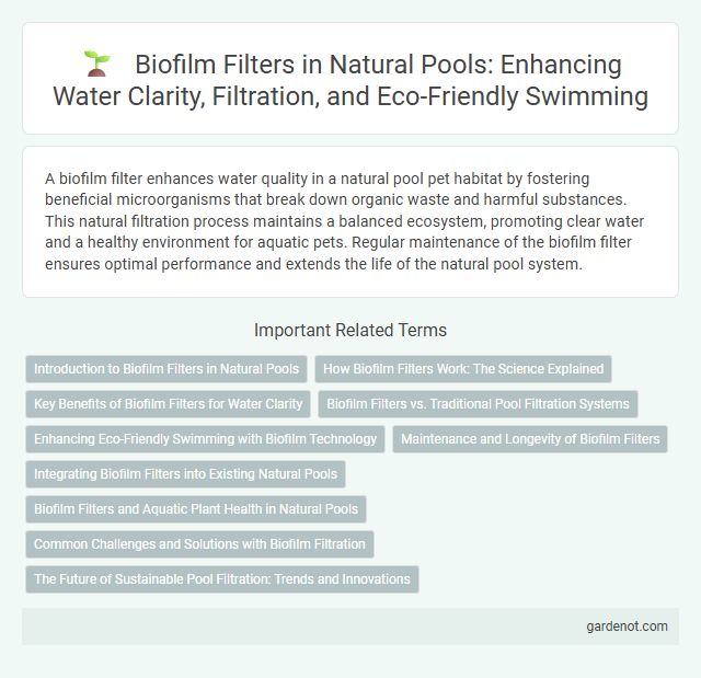 Biofilm Filters in Natural Pools: Enhancing Water Clarity, Filtration, and Eco-Friendly Swimming