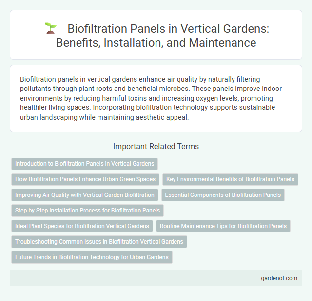 Biofiltration Panels in Vertical Gardens: Benefits, Installation, and Maintenance