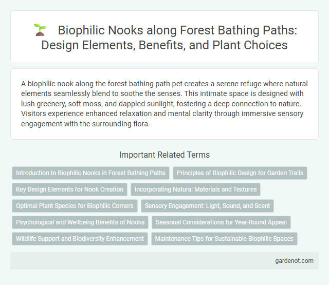 Biophilic Nooks along Forest Bathing Paths: Design Elements, Benefits, and Plant Choices