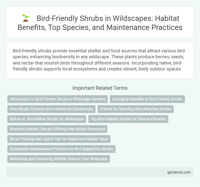 Bird-Friendly Shrubs in Wildscapes: Habitat Benefits, Top Species, and Maintenance Practices