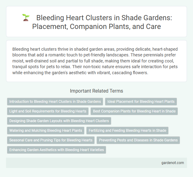 Bleeding Heart Clusters in Shade Gardens: Placement, Companion Plants, and Care
