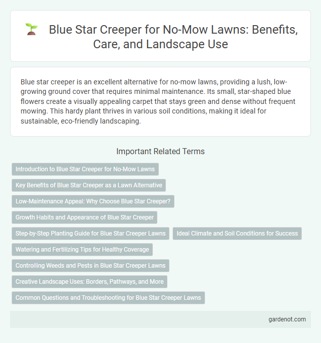 Blue Star Creeper for No-Mow Lawns: Benefits, Care, and Landscape Use