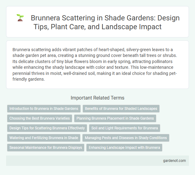 Brunnera Scattering in Shade Gardens: Design Tips, Plant Care, and Landscape Impact
