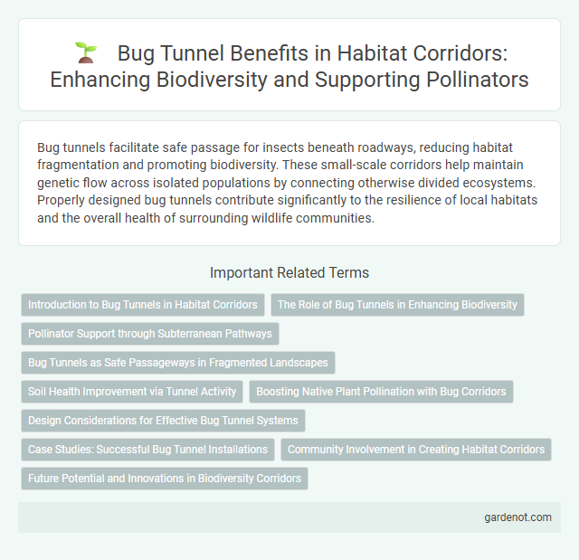 Bug Tunnel Benefits in Habitat Corridors: Enhancing Biodiversity and Supporting Pollinators