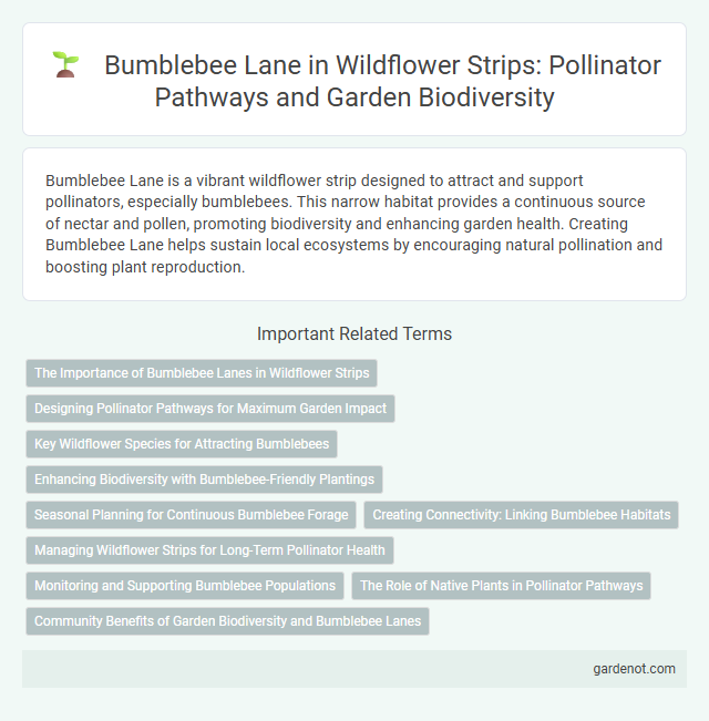 Bumblebee Lane in Wildflower Strips: Pollinator Pathways and Garden Biodiversity