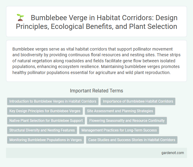 Bumblebee Verge in Habitat Corridors: Design Principles, Ecological Benefits, and Plant Selection