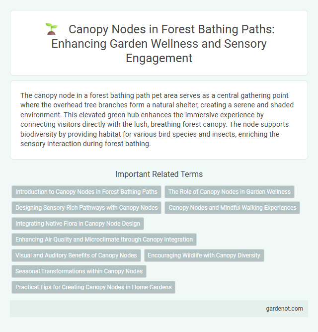 Canopy Nodes in Forest Bathing Paths: Enhancing Garden Wellness and Sensory Engagement