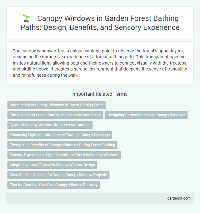 Canopy Windows in Garden Forest Bathing Paths: Design, Benefits, and Sensory Experience