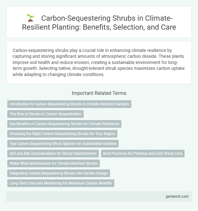 Carbon-Sequestering Shrubs in Climate-Resilient Planting: Benefits, Selection, and Care