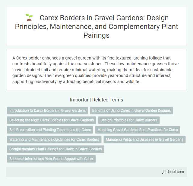 Carex Borders in Gravel Gardens: Design Principles, Maintenance, and Complementary Plant Pairings