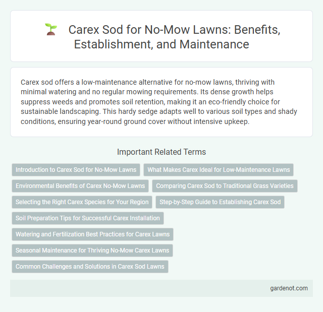 Carex Sod for No-Mow Lawns: Benefits, Establishment, and Maintenance