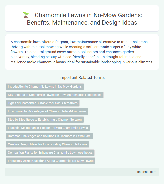 Chamomile Lawns in No-Mow Gardens: Benefits, Maintenance, and Design Ideas