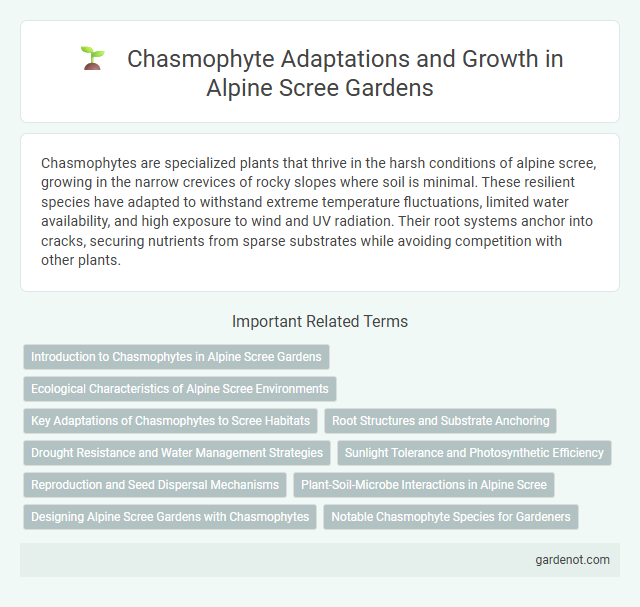 Chasmophyte Adaptations and Growth in Alpine Scree Gardens