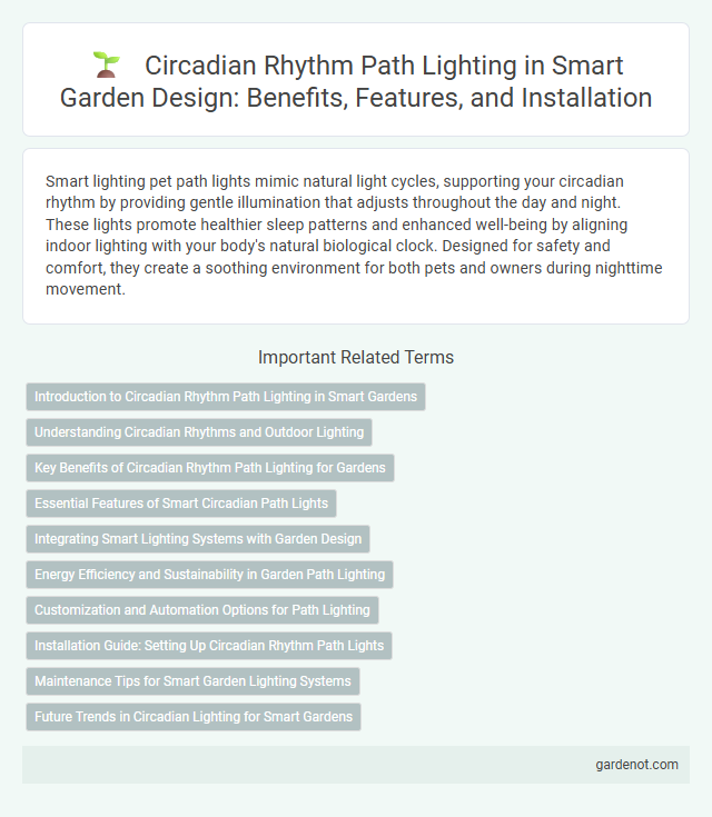 Circadian Rhythm Path Lighting in Smart Garden Design: Benefits, Features, and Installation