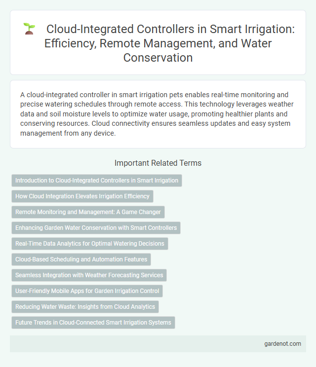Cloud-Integrated Controllers in Smart Irrigation: Efficiency, Remote Management, and Water Conservation