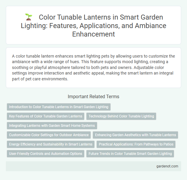 Color Tunable Lanterns in Smart Garden Lighting: Features, Applications, and Ambiance Enhancement
