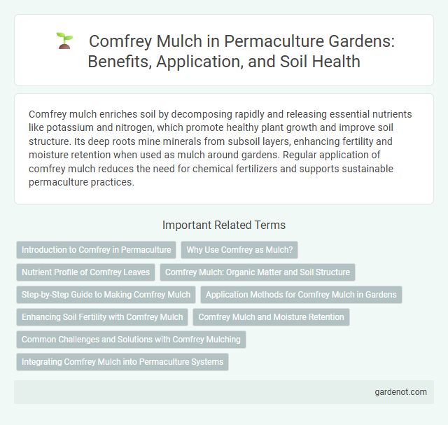 Comfrey Mulch in Permaculture Gardens: Benefits, Application, and Soil Health