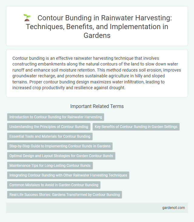 Contour Bunding in Rainwater Harvesting: Techniques, Benefits, and Implementation in Gardens
