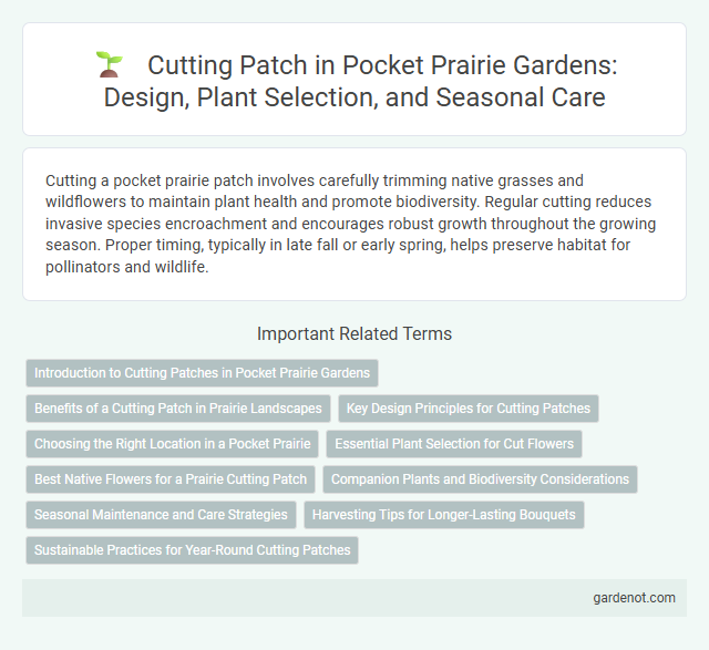 Cutting Patch in Pocket Prairie Gardens: Design, Plant Selection, and Seasonal Care