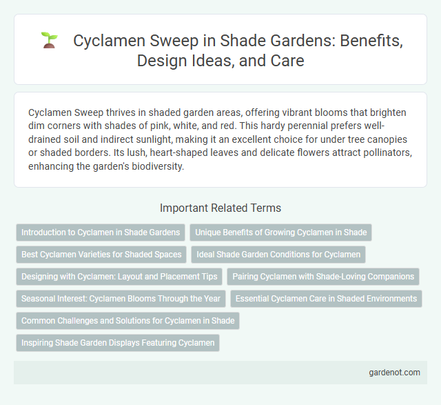 Cyclamen Sweep in Shade Gardens: Benefits, Design Ideas, and Care