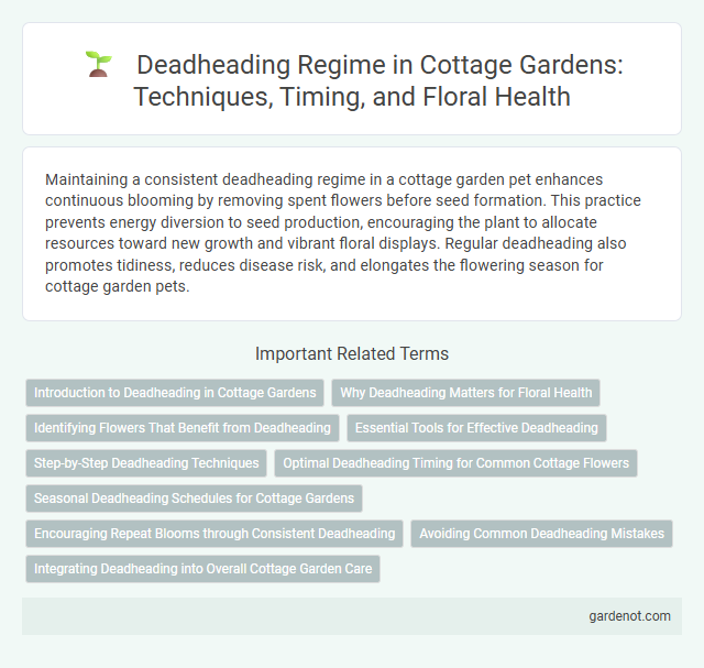 Deadheading Regime in Cottage Gardens: Techniques, Timing, and Floral Health